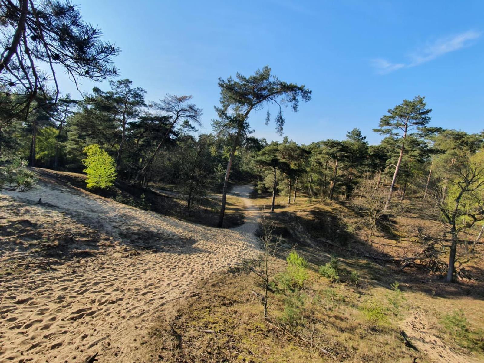Marduijn Villa Lomm Dış mekan fotoğraf